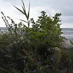 5 Star Holiday Home In Stege Casa vacanze