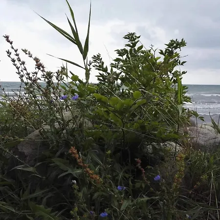 Luxury Wellness Retreat - By Traum Tatil Evi